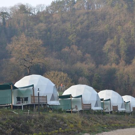Dengekoru Wildlife & Glamping Hotel Mudurnu ภายนอก รูปภาพ
