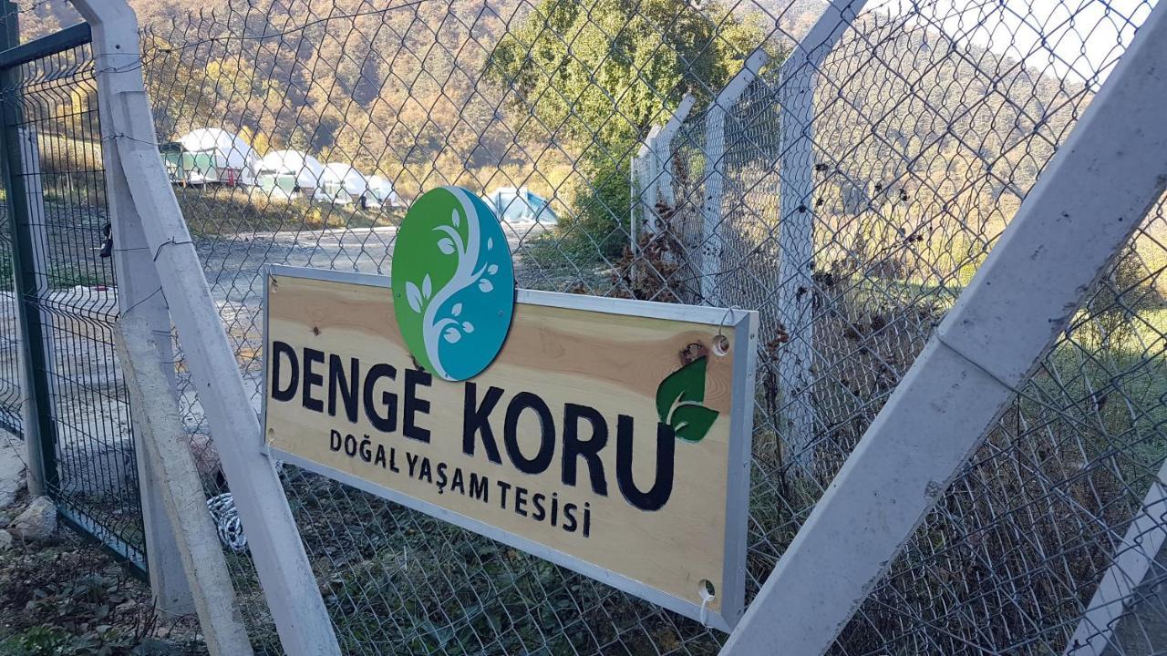 Dengekoru Wildlife & Glamping Hotel Mudurnu ภายนอก รูปภาพ