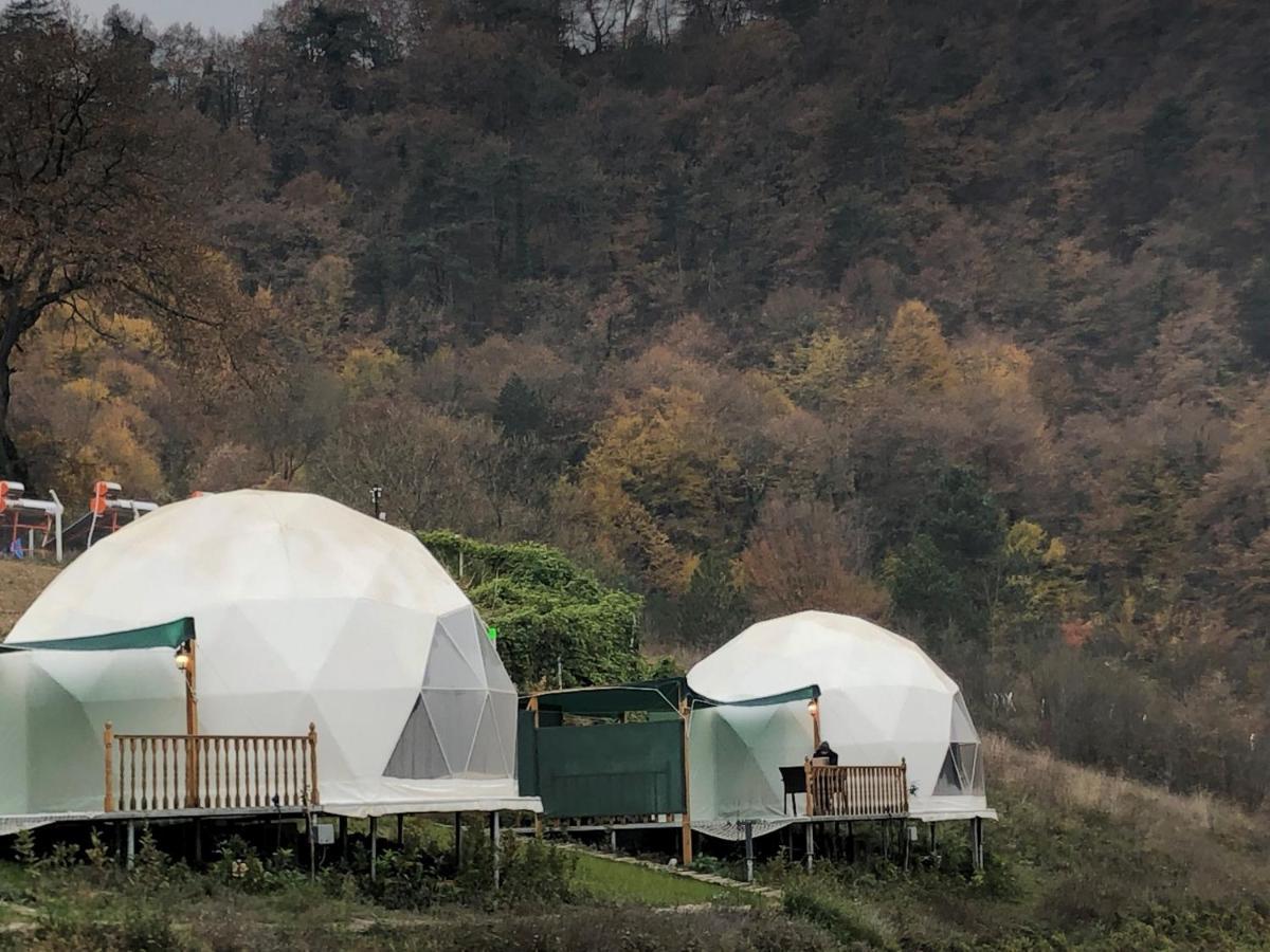 Dengekoru Wildlife & Glamping Hotel Mudurnu ภายนอก รูปภาพ