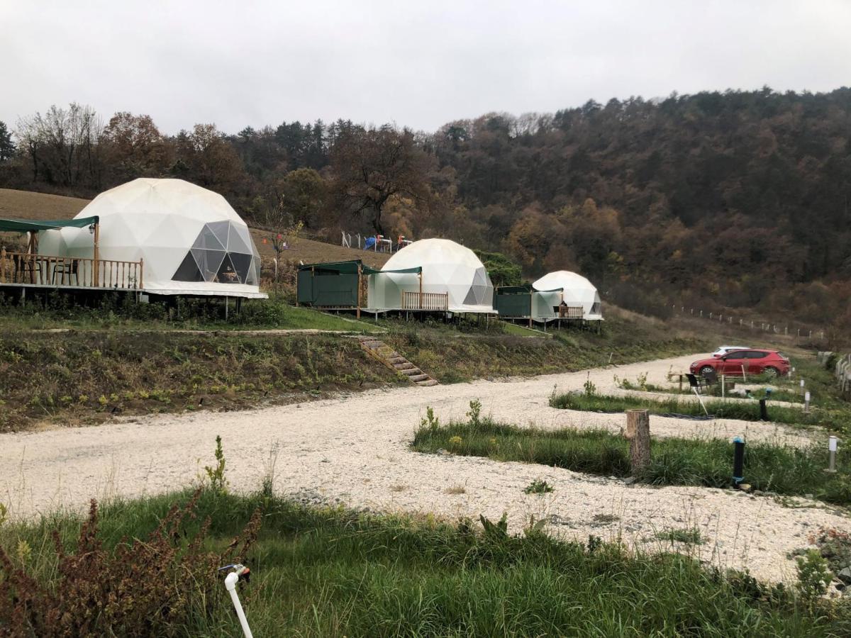 Dengekoru Wildlife & Glamping Hotel Mudurnu ภายนอก รูปภาพ
