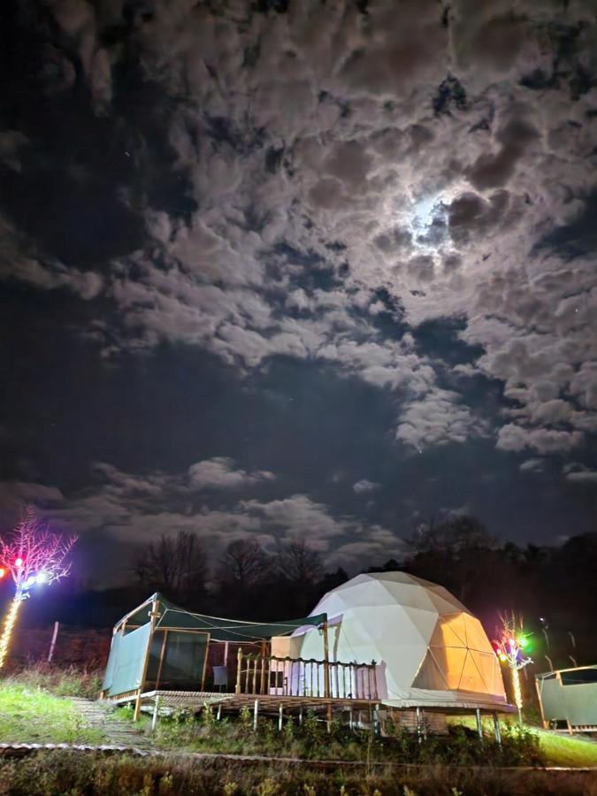 Dengekoru Wildlife & Glamping Hotel Mudurnu ภายนอก รูปภาพ