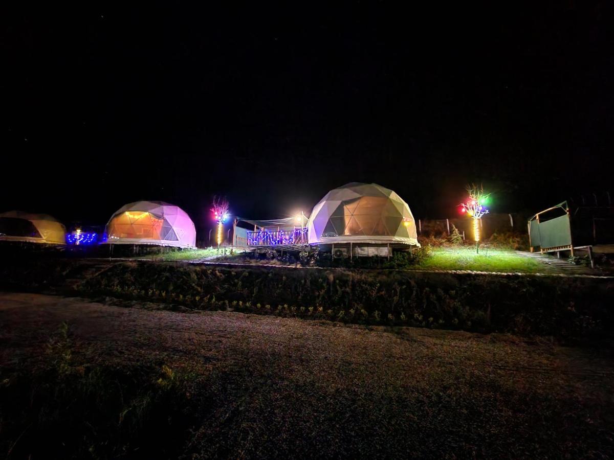 Dengekoru Wildlife & Glamping Hotel Mudurnu ภายนอก รูปภาพ